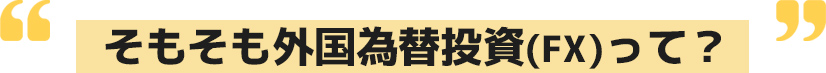 そもそも外国為替投資(FX)って？